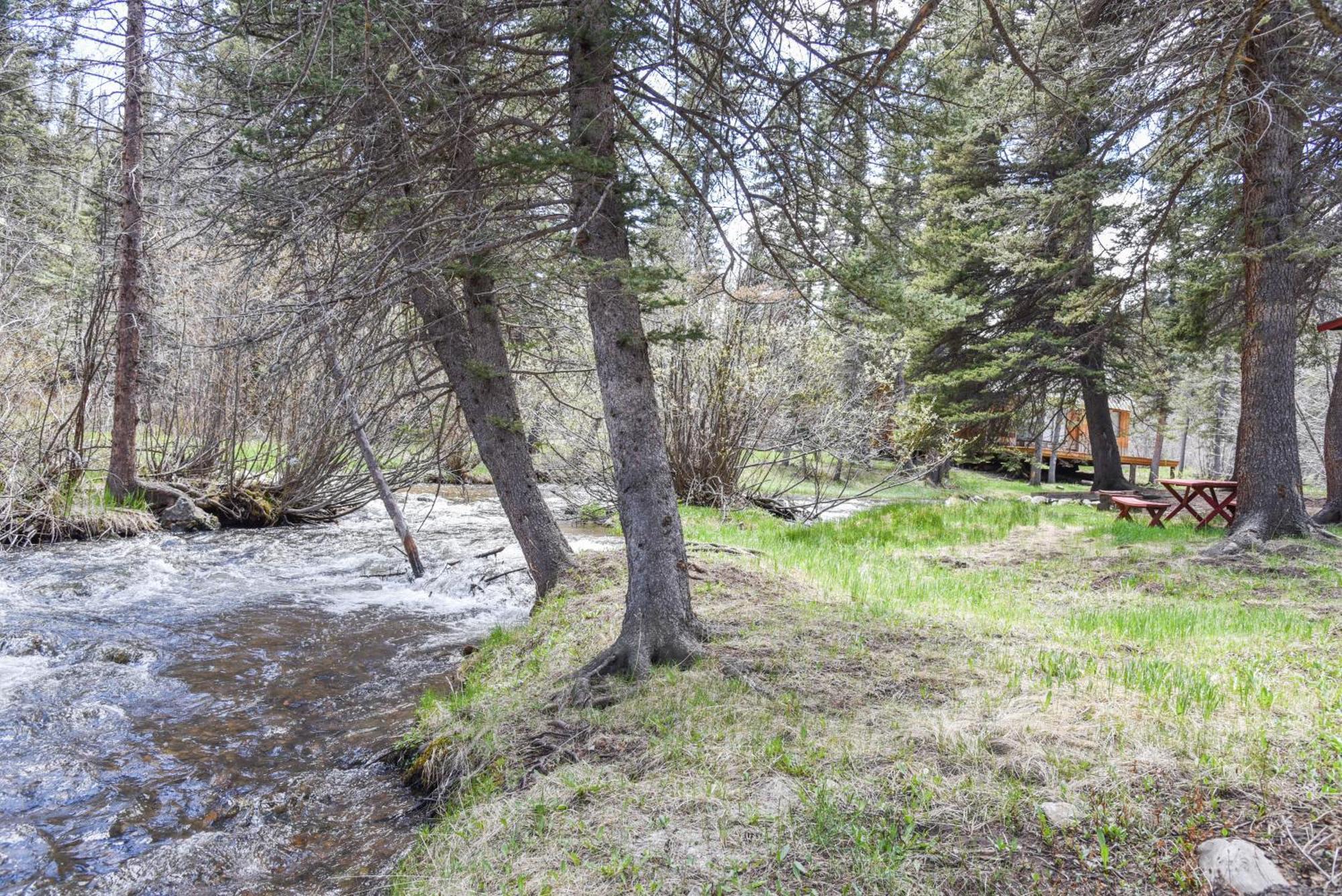 Bear Bait Cabin In Upper Valley With High Speed Wifi 红河 外观 照片